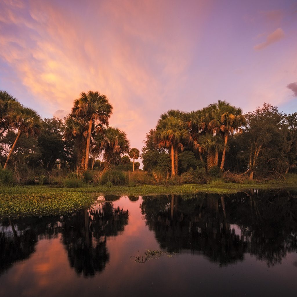 US Endowment image by Mac Stone